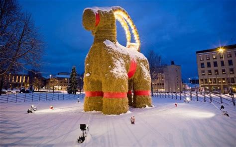 Christmas Traditions In Sweden The Goat A Real Celebrity