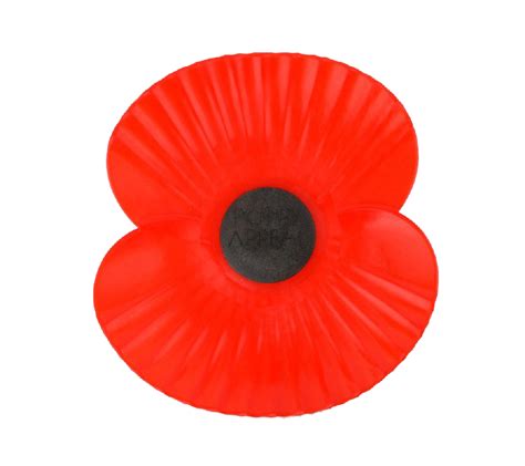 Remembrance Day Poppy Flower Png Download Image Png Arts