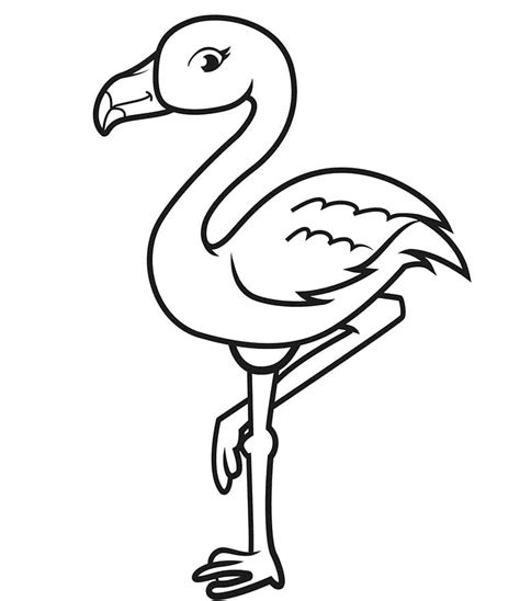 Flamingo Coloring Pages Free Printable Coloring Pages