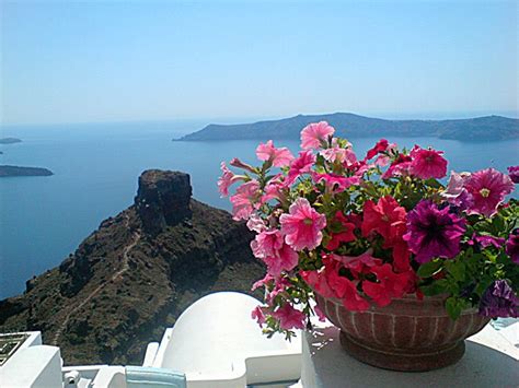 Tholos Resort Hotel Santorini Some Flowers And The Incredible View