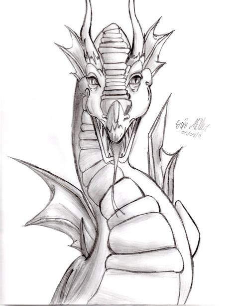 Dragons Head Drawing At Getdrawings Free Download