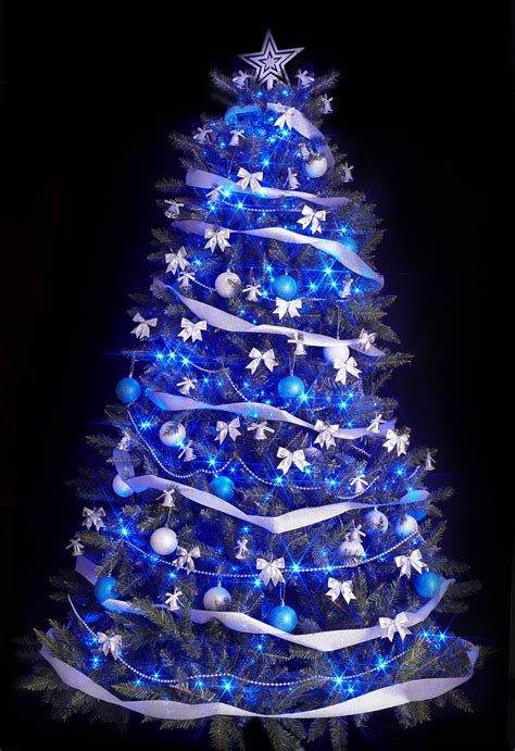 20 Blue Christmas Tree Ideas