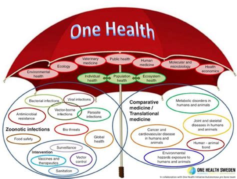 Le Concept One Health Doit Simposer Pour Permettre Lanticipation