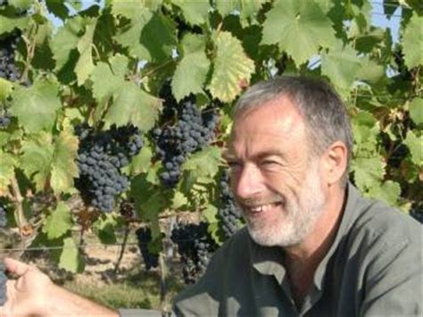 Pal kommt ursprünglich aus ungarn und ist seit 2008 in deutschland. Weinlese | vom Rebstock in den Keller | Weingut Fuchs