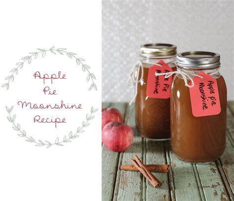 Hi guys, i'm megan of country cleaver and welcome to megan's backwoods variety hour!! Apple Pie Moonshine Recipe | Pretty Prudent