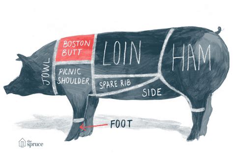 Diagrama Y Tabla De Cortes De Carne De Cerdo