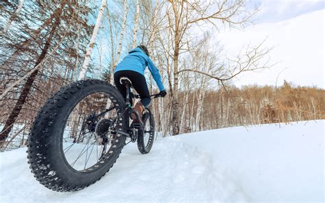 4 Reasons To Try Fat Tire E Biking This Winter Edenwood Ranch