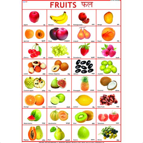 Maybe you would like to learn more about one of these? Fruits Chart - Fruits Chart Exporter, Manufacturer ...