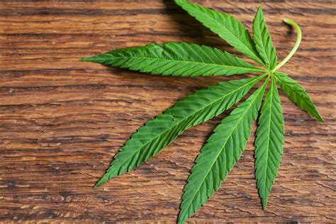 Erie to Welcome Second Medical Marijuana Dispensary - Erie Reader