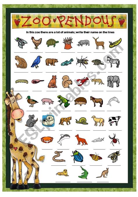 Download Zoo Animal Names Tips Temal