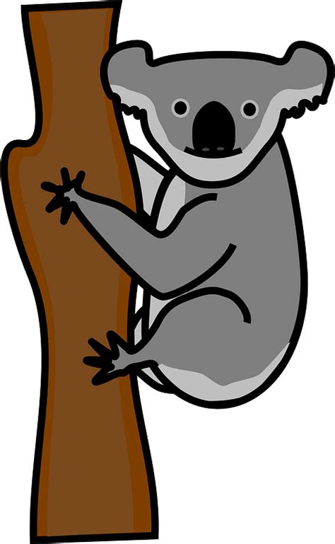 Koala Clipart Free Download Transparent Png Creazilla