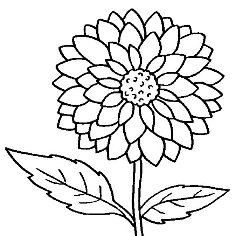 Coloring pages for children and adults. Hydrangea Flower Drawing at GetDrawings | Free download