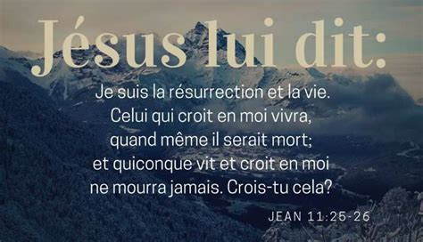 Jésus Lui Dit Je Suis La Résurrection Et La Vie Celui Qui Croit En