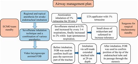 Anesthesia And Airway Management In A Patient With Acromegaly And