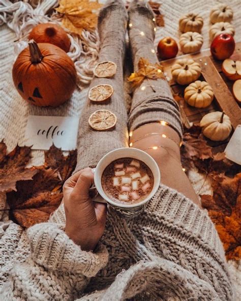 Pin By 𝙻𝚘𝚟𝚎𝚕𝚢 𝙻𝚒𝚝𝚝𝚕𝚎 𝙽𝚎𝚜𝚝 On Fall Vibes Autumn Aesthetic Fall