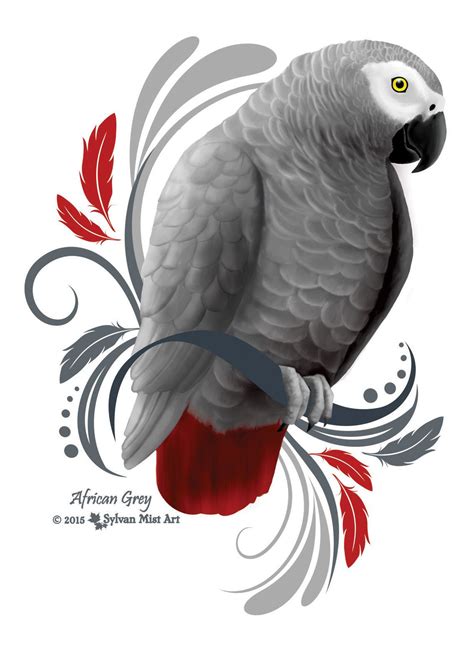 African Grey Parrot Artwork Design African Grey Parrot African Grey