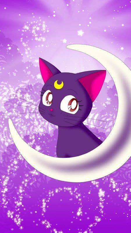 Share 82 Anime Cat Wallpapers Induhocakina