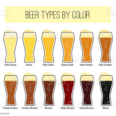 Infographic About Beer Types Of Color Stock Illustration Download