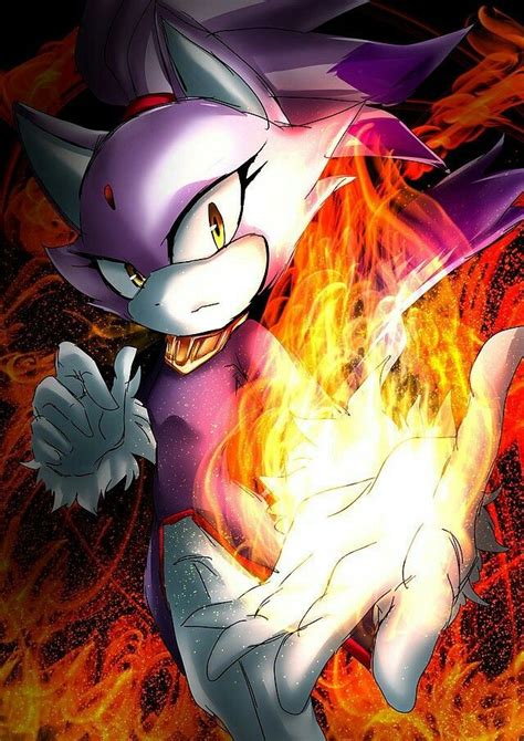 Blaze The Cat Sonic And Shadow Sonic Fan Art Sonic The Hedgehog Images