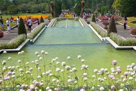 Destinasi wisata taman bunga bpi rokoy pandeglang yang satu ini mulai banyak diperbincangkan oleh netizen karena keindahannya yang luar biasa. Bersemi di Taman Bunga