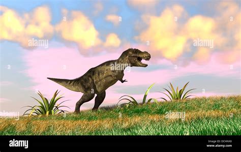 Tyrannosaurus Rex Hunting In An Open Field Stock Photo Alamy