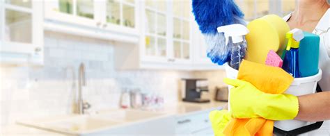 1 Home Cleaning And Sanitizing Services House Cleaning Services