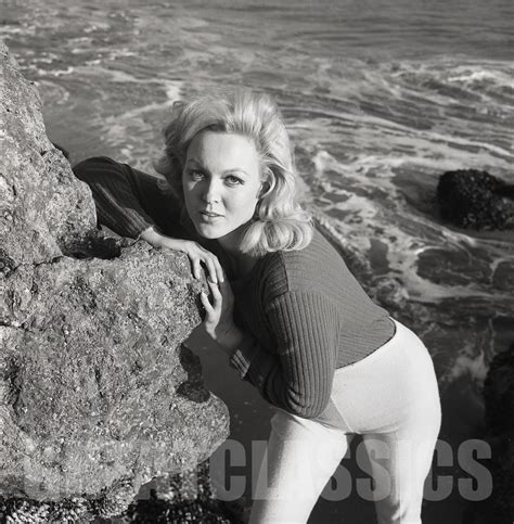 Cynthia Lynn Gorgeous Beach Pinup Sexy 1966 2 14 Camera Negative Peter