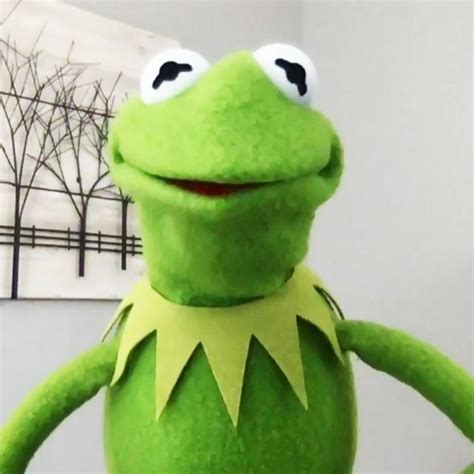 Kermit The Frog Exclusive Interviews Pictures And More Entertainment