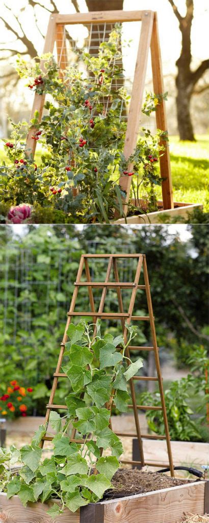 The short version is this: 20 Cheap And Easy DIY Trellis & Vertical Garden Structures