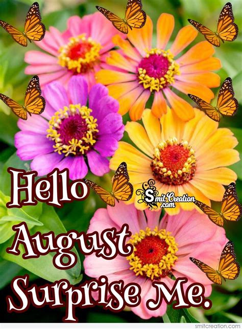 Hello August Surprise Me
