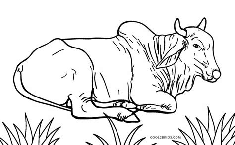 Free Printable Cow Coloring Pages For Kids Cool2bkids