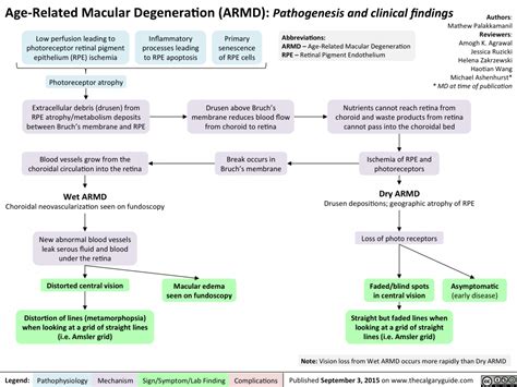 Age Related Macular Degeneration Pathogenesis And Clinical Findings