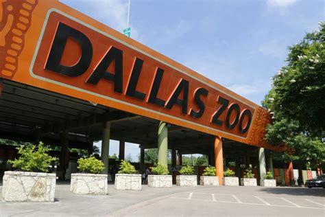 Getting To The Zoo Dallas Zoo