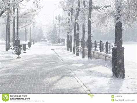 Parque M Gico De La Ciudad Del Invierno Que Brilla Intensamente Por Luz