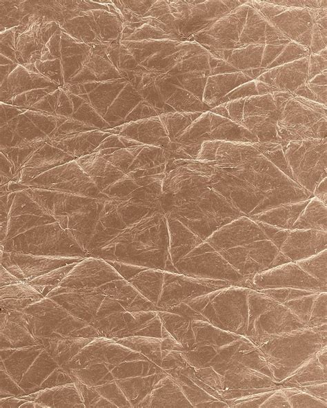 Human Skin Photograph By Dennis Kunkel Microscopyscience Photo Library