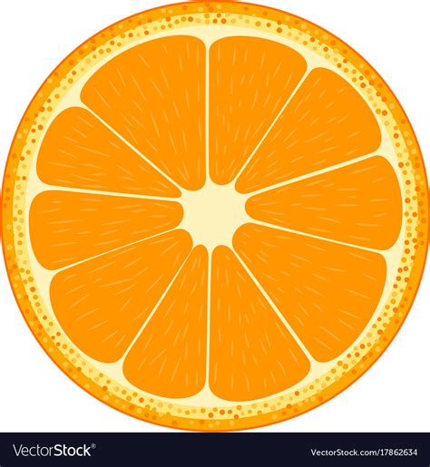 Half Of Fruit Orange Royalty Free Vector Image