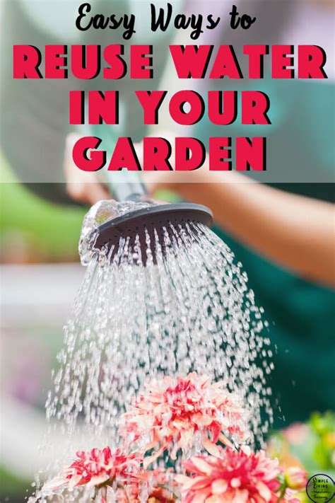 When watering in hot weather, don't wait until your plants have begun to wilt. Easy Ways to Reuse Water in your Garden - Simple Living ...