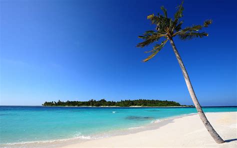 White Sand Beach Wallpapers Wallpaper Cave