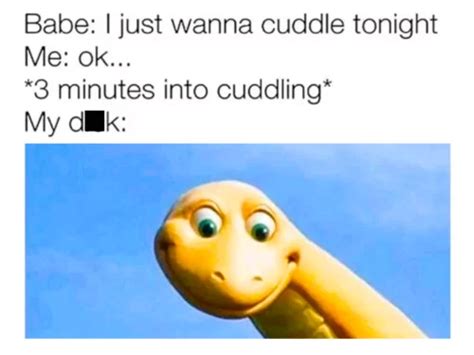 20 Cuddle Memes To Snuggle Your Way To Happiness Chameleon Memes