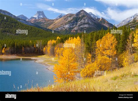 Wedge Pond In Autumn Peter Lougheed Provincial Park Alberta Canada
