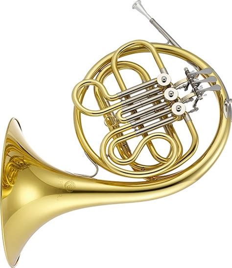 Parts Of A French Horn Diagram Quizlet