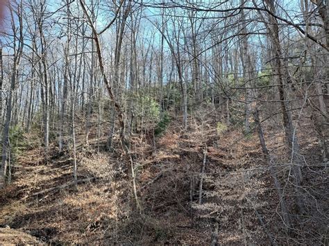 Fletcher, Henderson County, NC Farms and Ranches, Homesites for sale