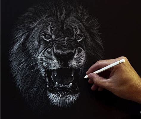 Stunning Wildlife Drawings By British Artist Richard Symonds Black