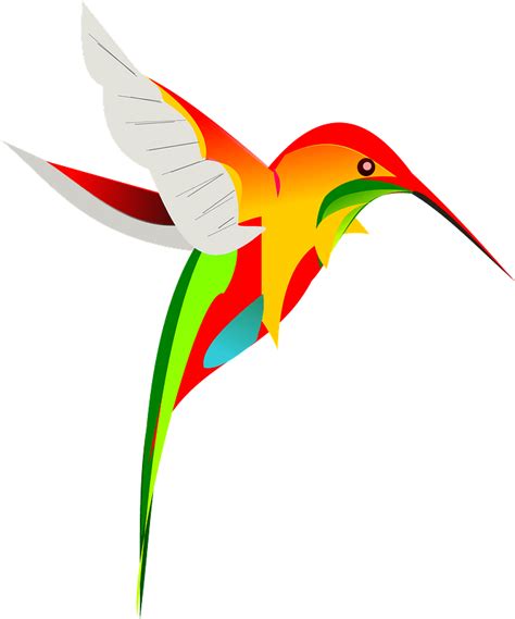 Colorful Hummingbird Clipart Free Download Transparent Png Creazilla