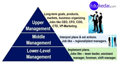 Levels Of Management 3 Functional Area And Types Of Managers