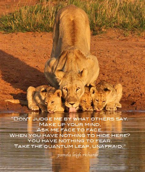 Lioness Quotes And Saying Quotesgram