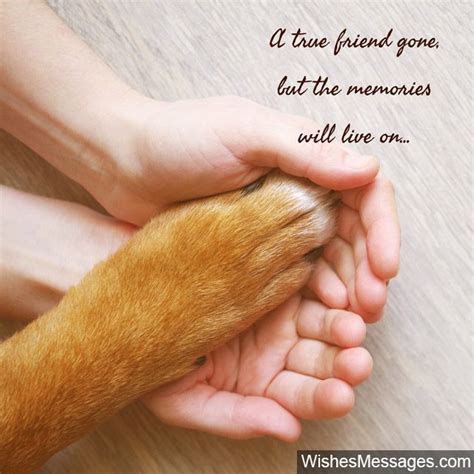 Sympathy Messages For Pets Condolence Quotes For Dogs Cats And More