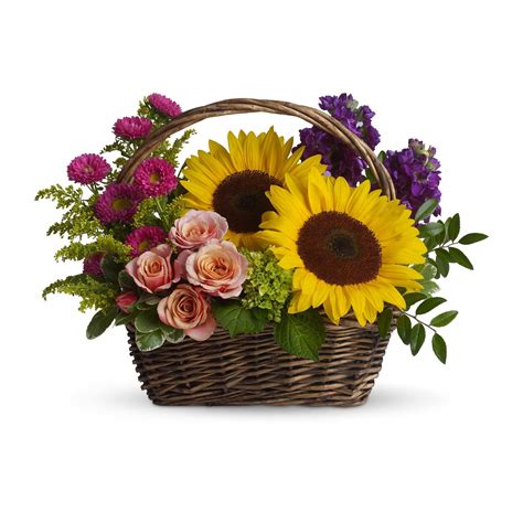 Showing 252 wedding services serving frederick, md. Picnic in the Park in Frederick, MD | Amour Flowers