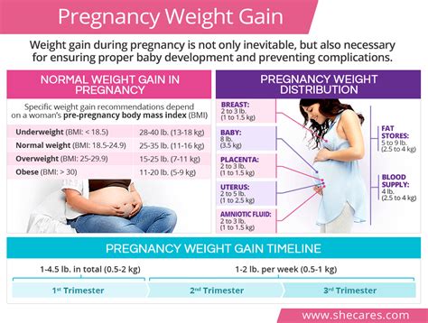 fetal weight gain per week in 3rd trimester tutorial pics
