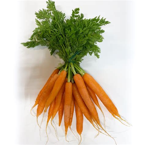 Top Légumes Vous Propose Carottes Fanes Bio à 200 Euros